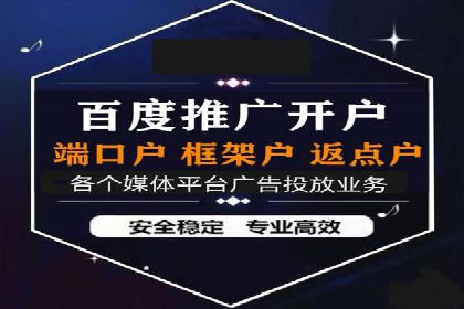 短视频信息流营销实战：小红书的成长之路